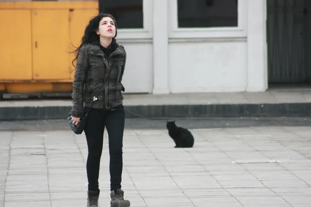 Understanding Your Emotional Journey (Image Credits: Flickr)