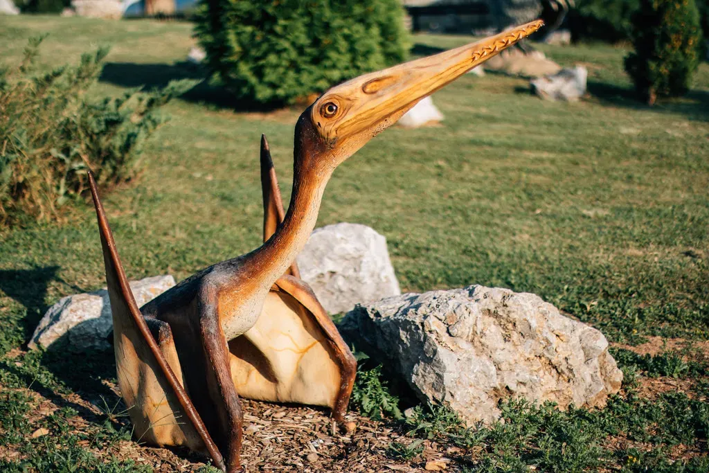 Beaks: Versatile Tools for a Changing World (Image Credits: Flickr)