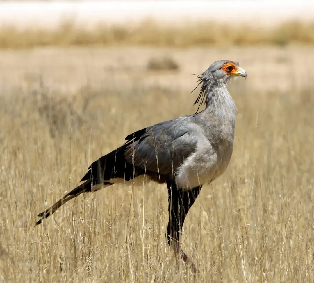 4. Birds Are Dinosaurs, Not Just “Related To” Them (Image Credits: Unsplash)