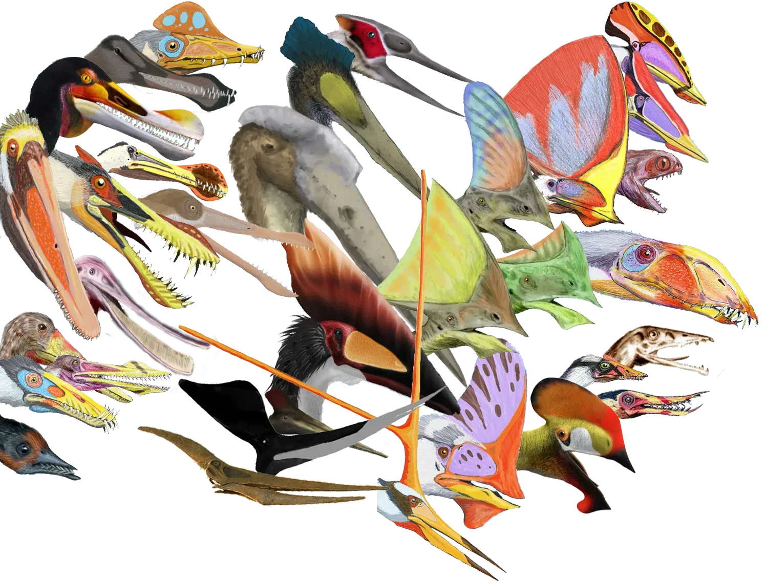 #8 - What Those Bizarre Head Crests Were Actually For (1
3
4
5
6
7
8
9
10
11
12
13
14
15
16
17
18
19
20, 26, 27
21
22, 23
24
25
28
29
30
31
32
33, CC BY-SA 3.0)