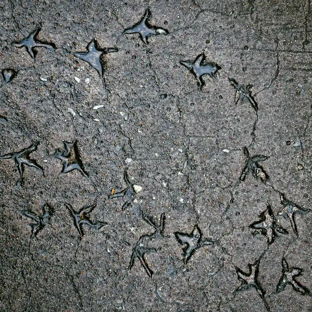 Volcanic Ash Layers: Footprints Trapped Under Falling Sky (Image Credits: Unsplash)