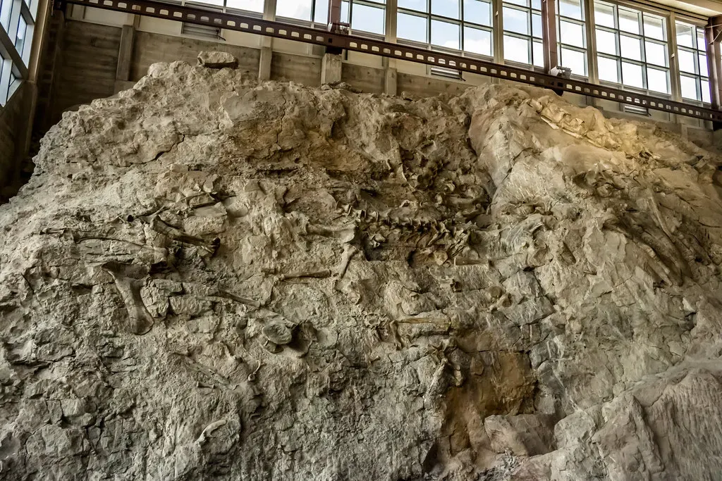 Dinosaur National Monument, Utah/Colorado, USA (Quarry Exhibit Hall) (markbyzewski, Flickr, CC BY 2.0)