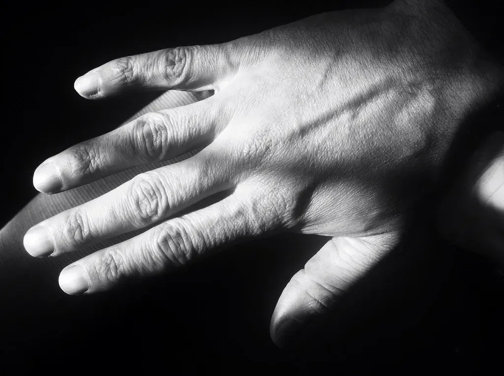 #22 - Your Right Hand Is a Fossil, Just Not the Kind You Dig Up (randomduck, Flickr, CC BY-SA 2.0)
