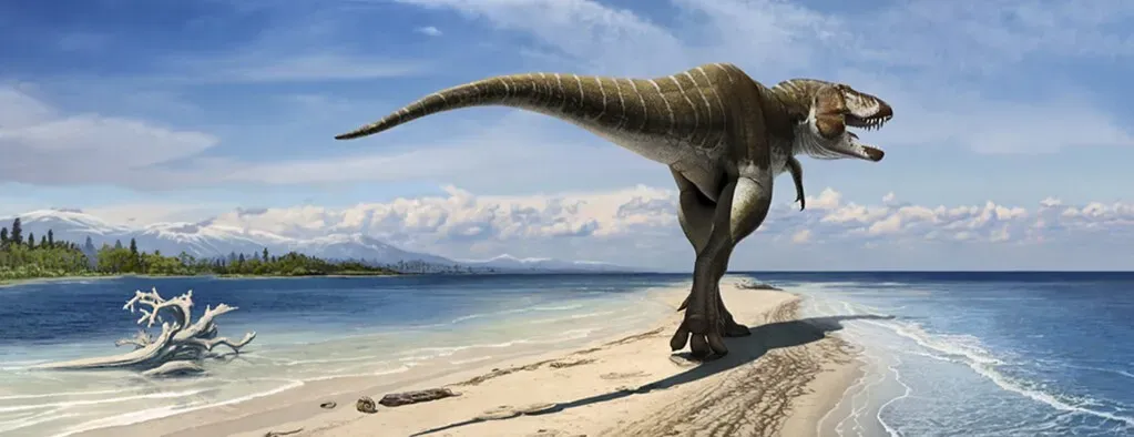 Digging Up a Gore King: Discovery, Debate, and Mystery (Image Credits: Flickr)