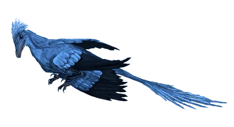 #5 - Microraptor's Iridescent Blue-Black Wings Rarely Survive the Gift Shop (By Matt Martyniuk, Tyrannosaure, CC BY 3.0)