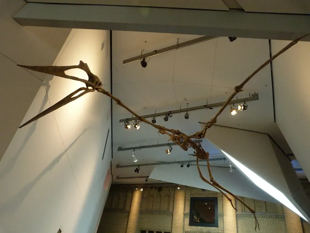 Why Scientists Still Argue About Its Diet (S. Rae, Flickr, CC BY 2.0)