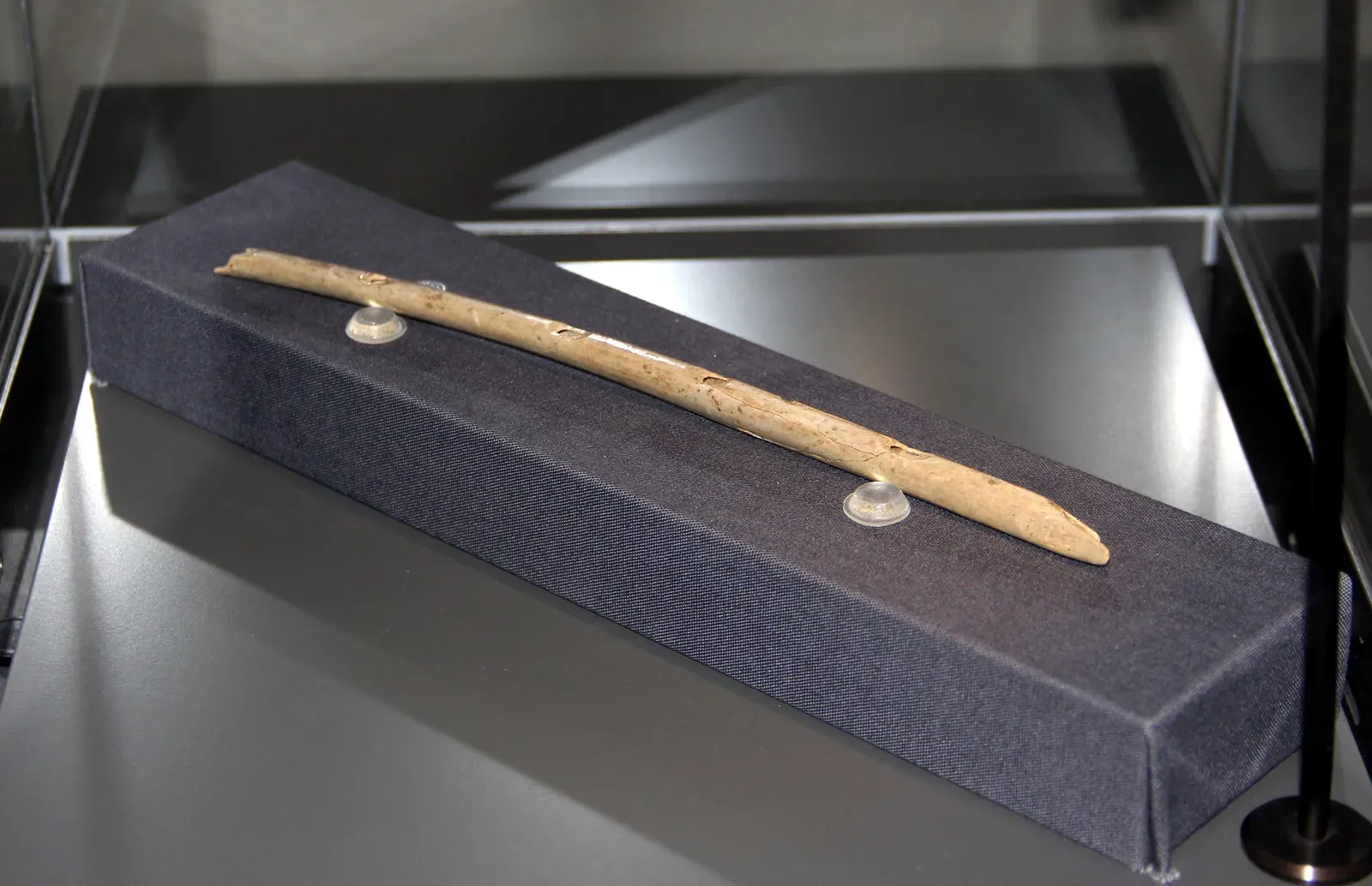 #4 - Early Musical Instruments and Complex Sound Design (By Tomatenpflanze, CC BY-SA 4.0)
