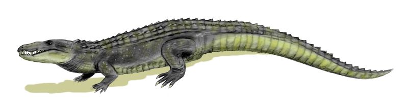 Mahajangasuchus - The Horned River Hunter (Image Credits: Wikimedia)