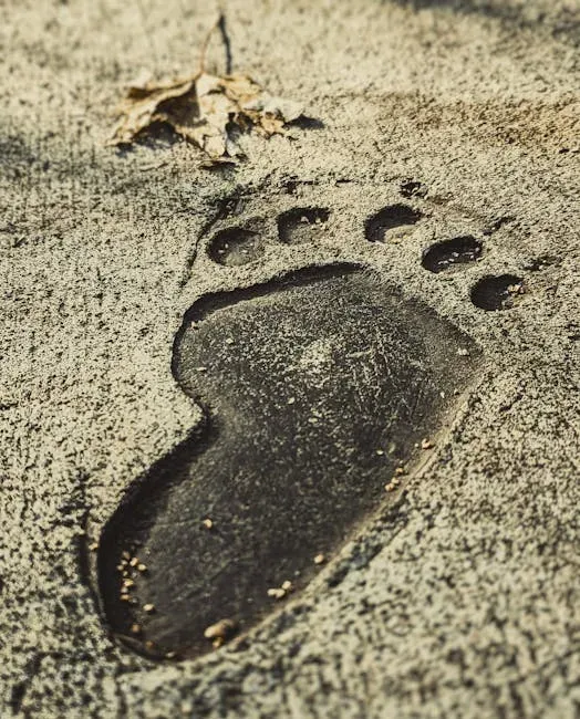 The Marble Mountain Footage: A Scout Trip Surprise (Image Credits: Pexels)