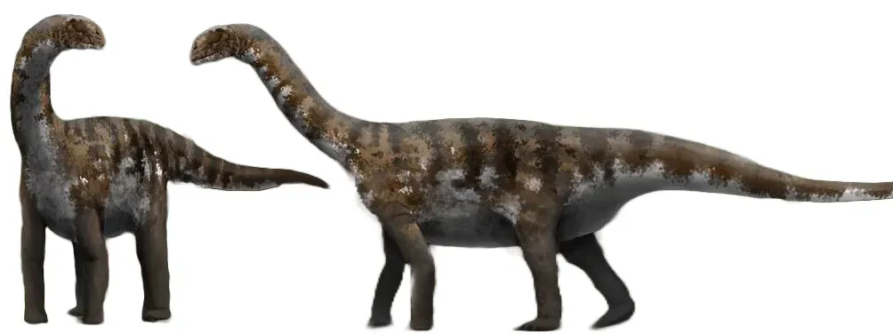 Different Dinosaurs Took Very Different Approaches (Image Credits: Wikimedia)