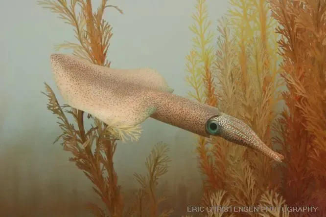 Complex Life Evolved in Impossible Conditions (Image Credits: Wikimedia)