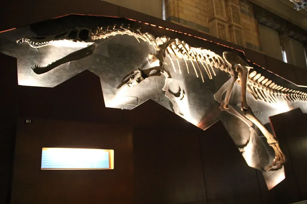 From One Skeleton to a Dinosaur Revolution (Image Credits: Flickr)