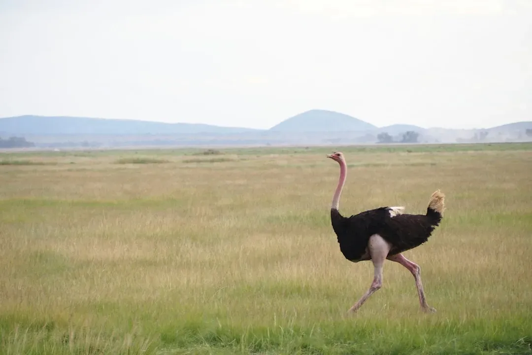 #2 Oversized, Muscular Legs Straight Out of the Dinosaur Playbook (Image Credits: Unsplash)