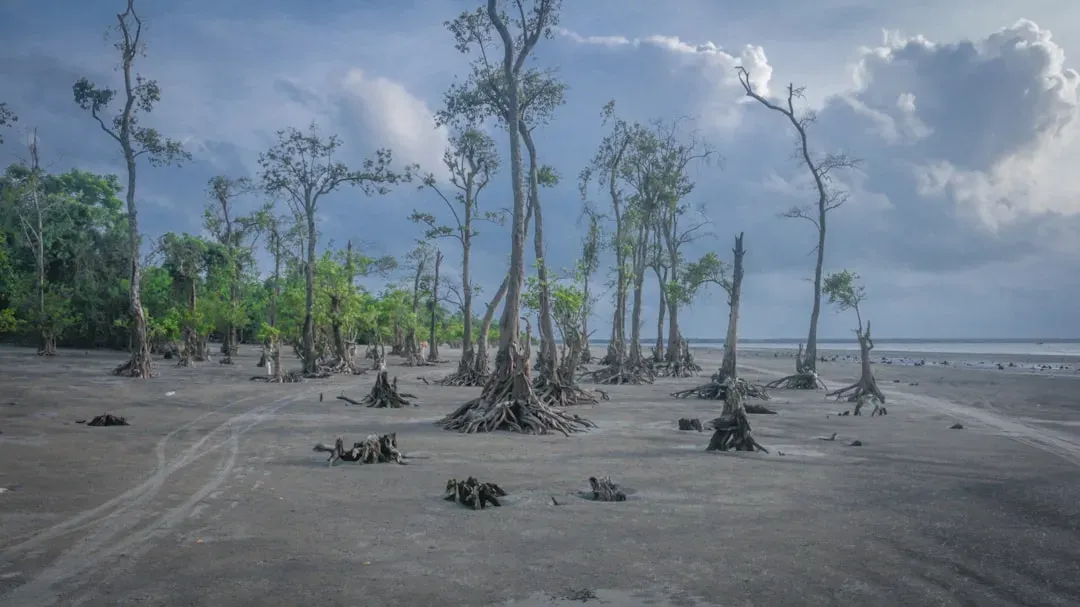 A World Reborn from Catastrophe (Image Credits: Unsplash)