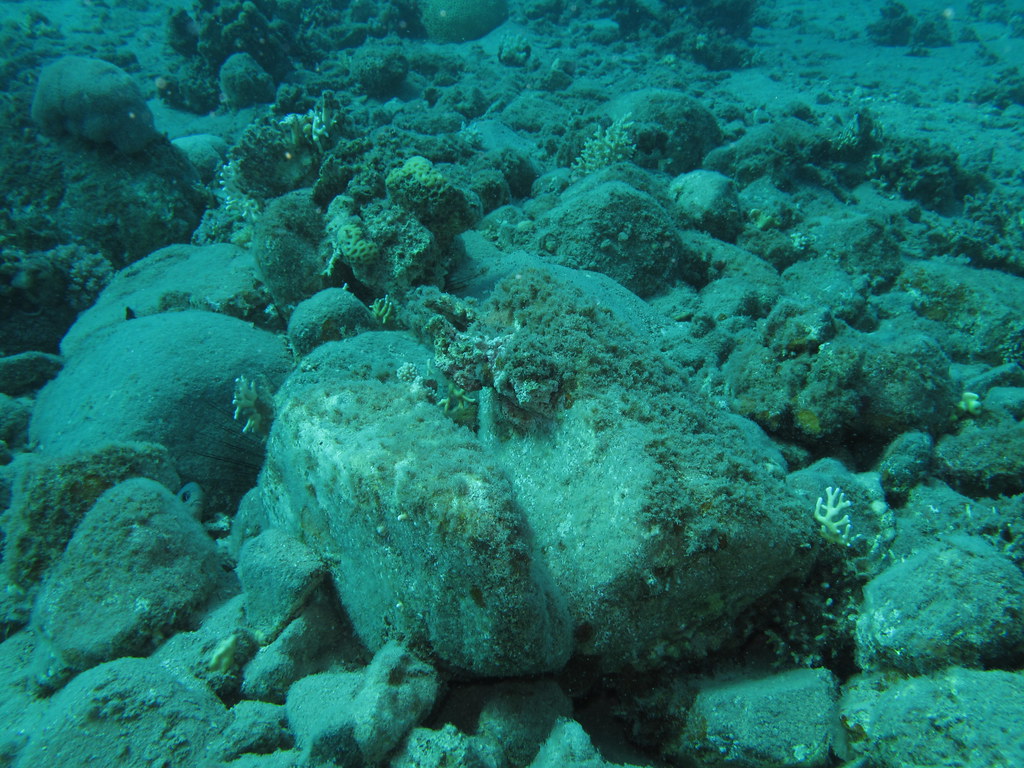 Human-Driven Acceleration Beyond Natural Limits (Image Credits: Flickr)