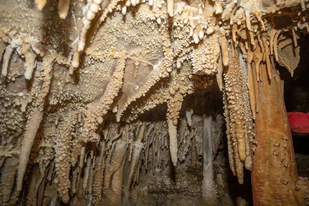 #7 Speleothems as Climate Time Capsules (Image Credits: Unsplash)