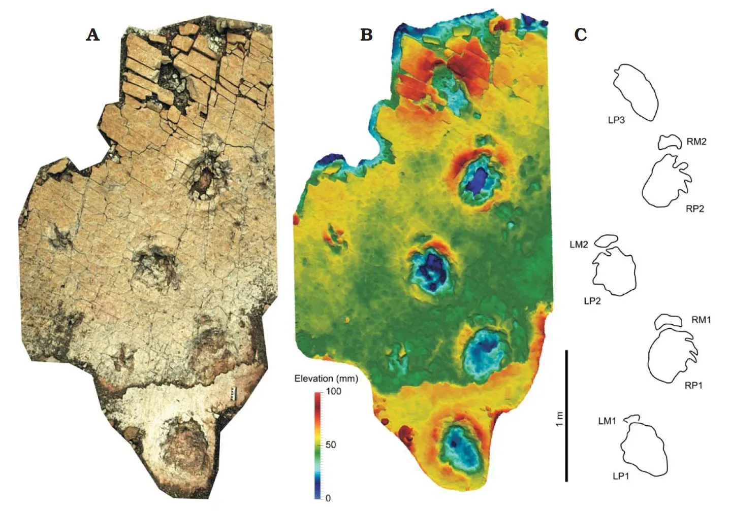 AI and Modern Technology Are Transforming the Field (Image Credits: Wikimedia)