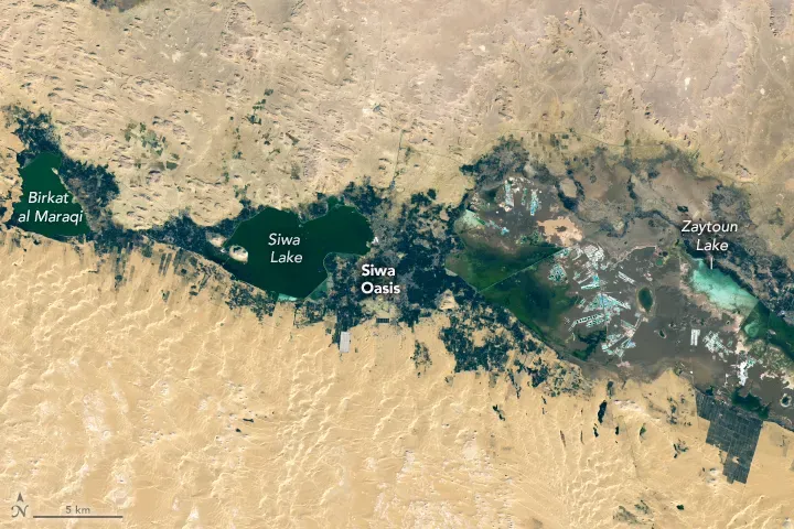 2. Buried Egyptian cities mapped from orbit after a century of digging (By NASA Earth Observatory, Public domain)