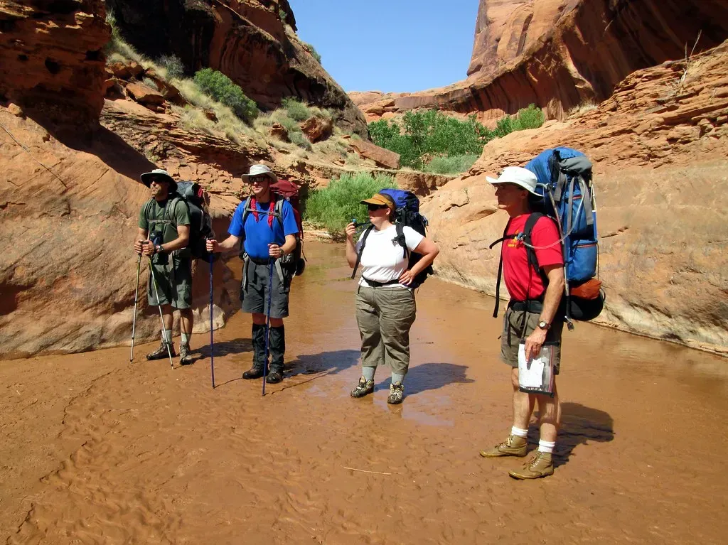 Aries: The Fearless Trailblazer (Image Credits: Flickr)