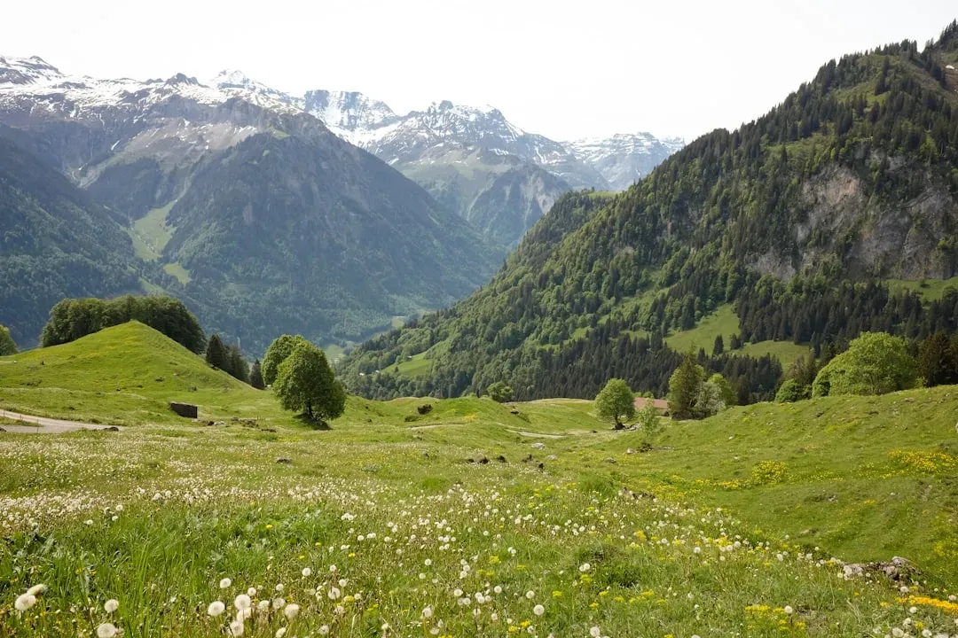 Taurus: Rolling Alpine Meadows and Gentle Green Hills (Image Credits: Unsplash)