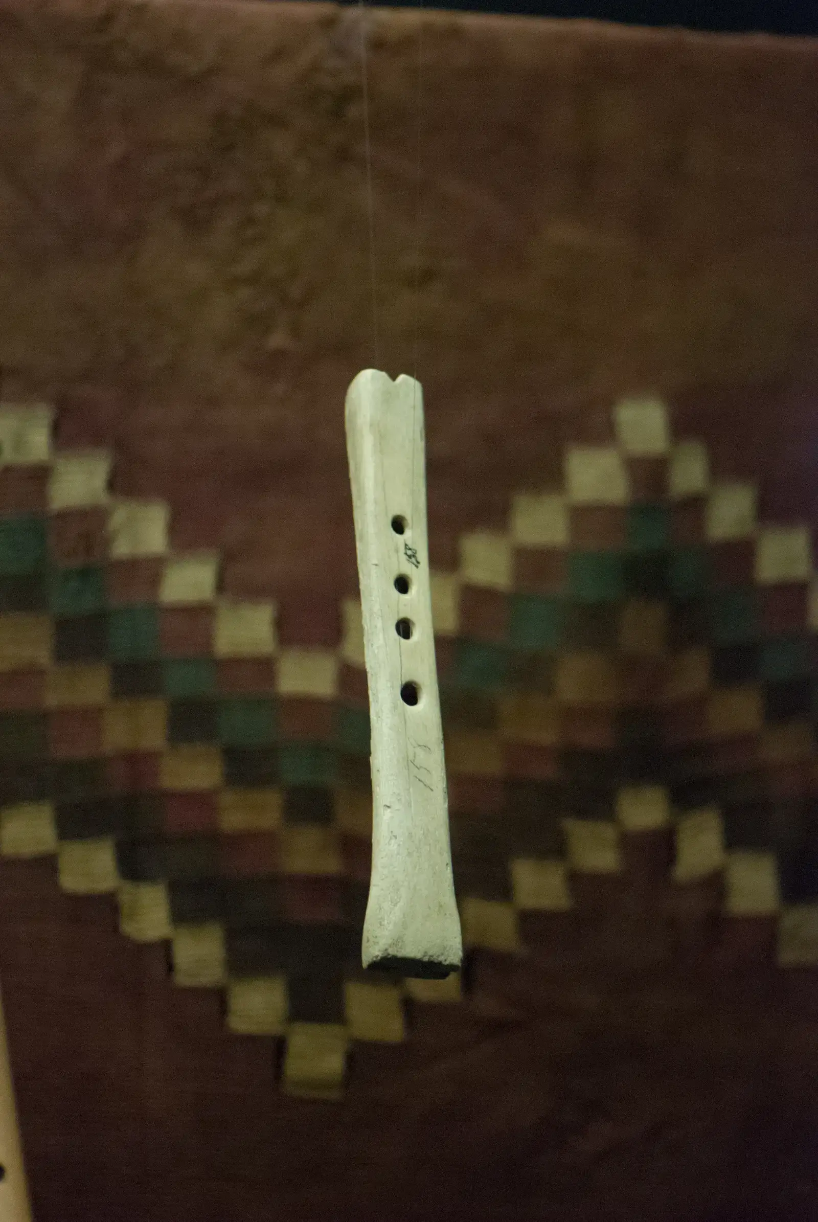 Music, Mind, and Meaning: What Instruments Reveal About Neanderthal Brains (Bone flute, CC BY 2.0)