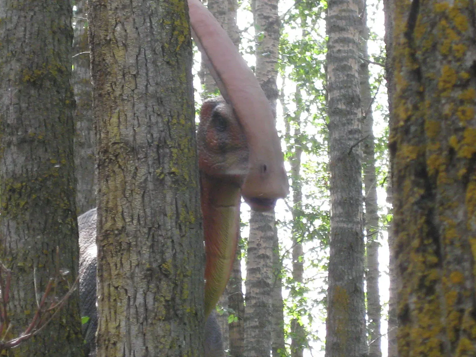 Conclusion (Image Credits: Wikimedia)