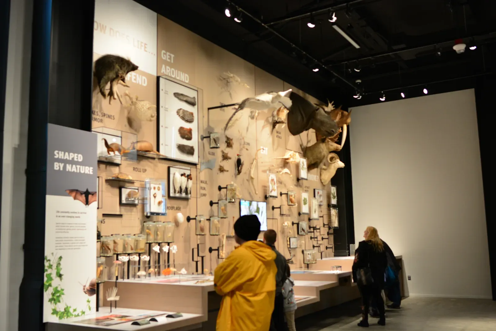 Burke Museum of Natural History and Culture, Seattle, Washington (Photo by Joe Mabel, CC BY-SA 3.0)