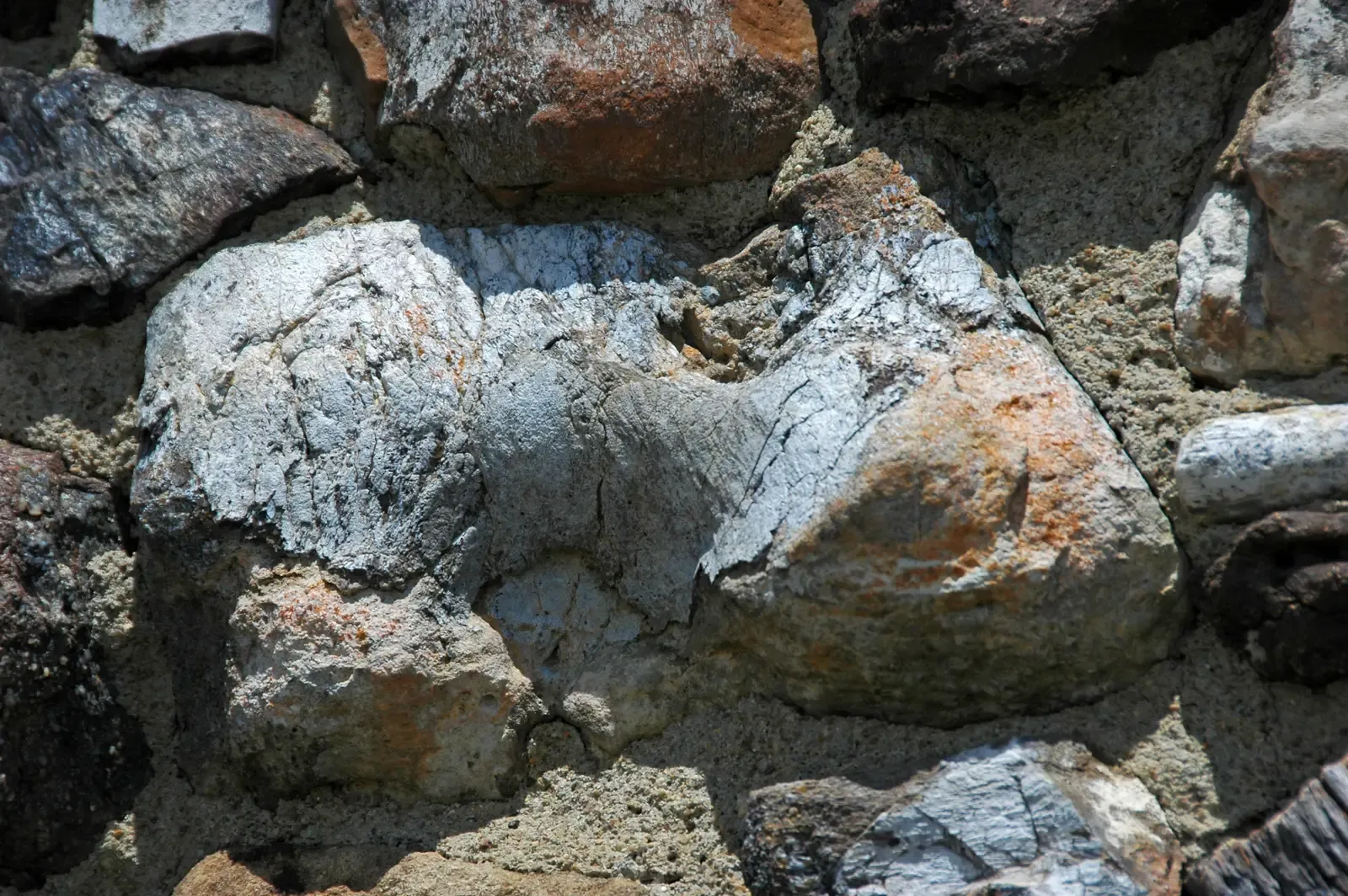 Isotope Analysis: Tracing Diets, Migrations, and Ancient Climates (By James St. John, CC BY 2.0)