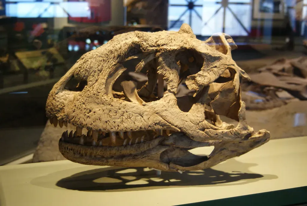 The Fossil Bite Marks That Started It All (Dallas Krentzel, Flickr, CC BY 2.0)