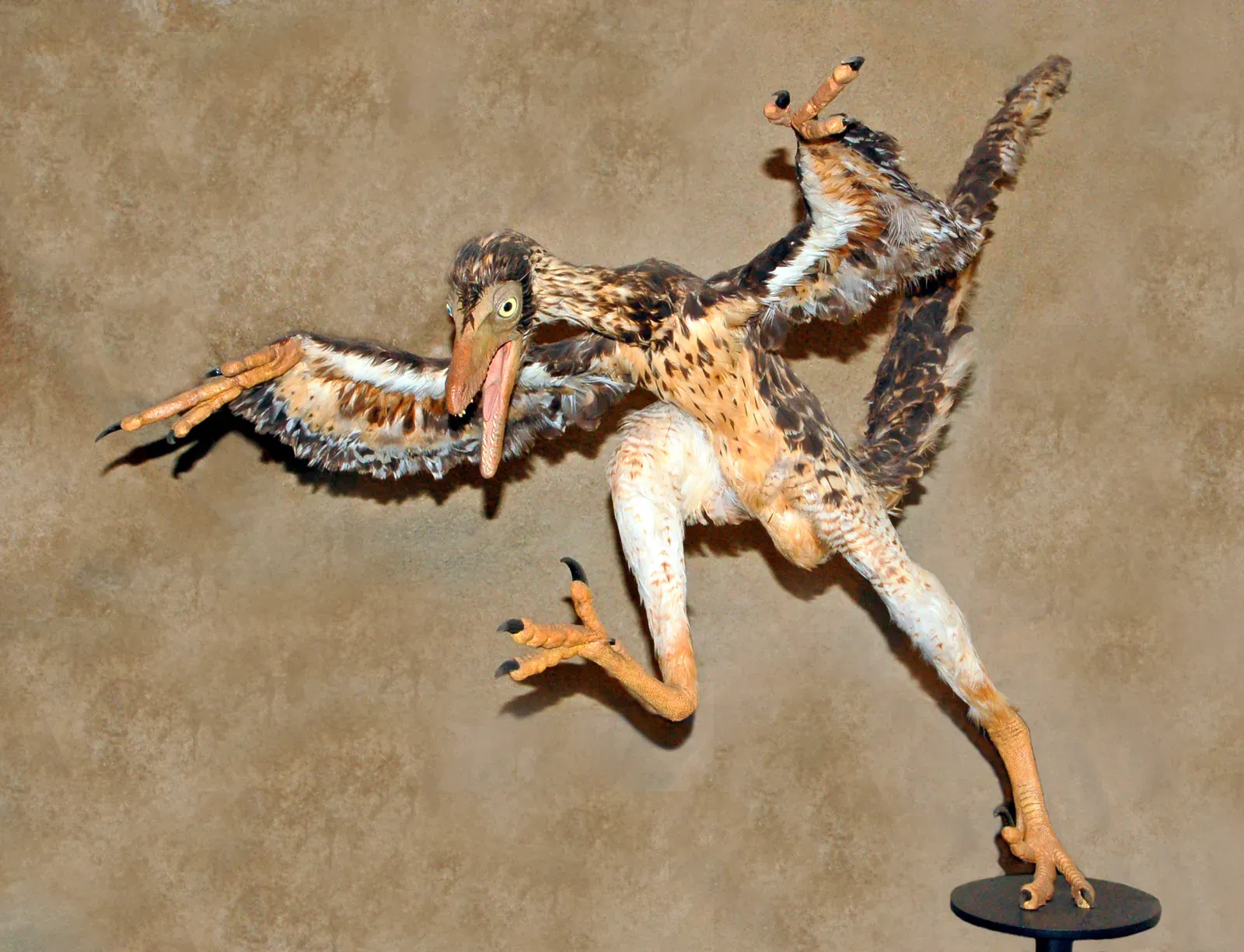 Pisces – Sinornithosaurus, the Dreamy Forest Phantom (By Hectonichus, CC BY-SA 3.0)