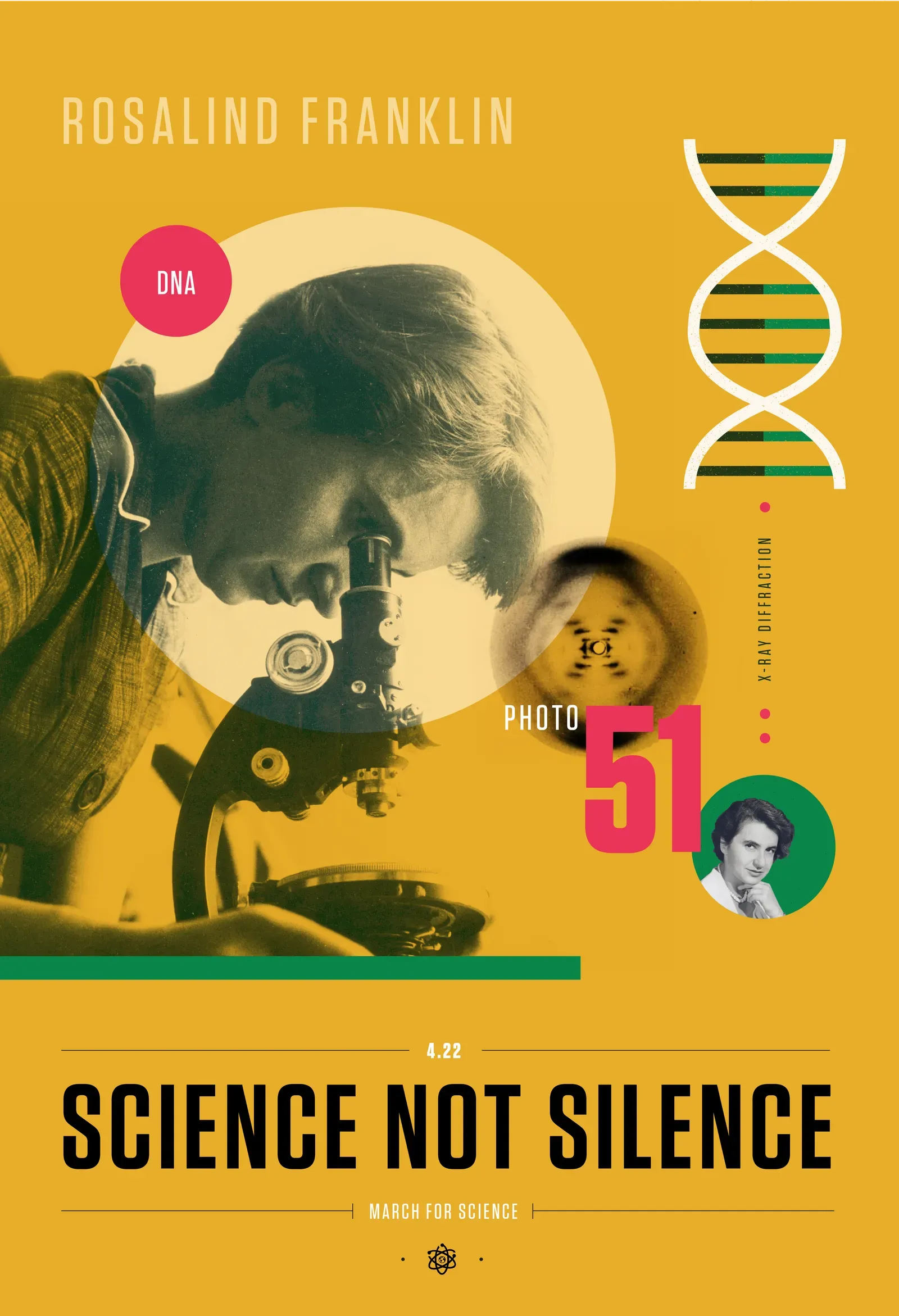#4 Rosalind Franklin and the Structure of DNA (By Amanda Phingbodhipakkiya, CC BY-SA 4.0)