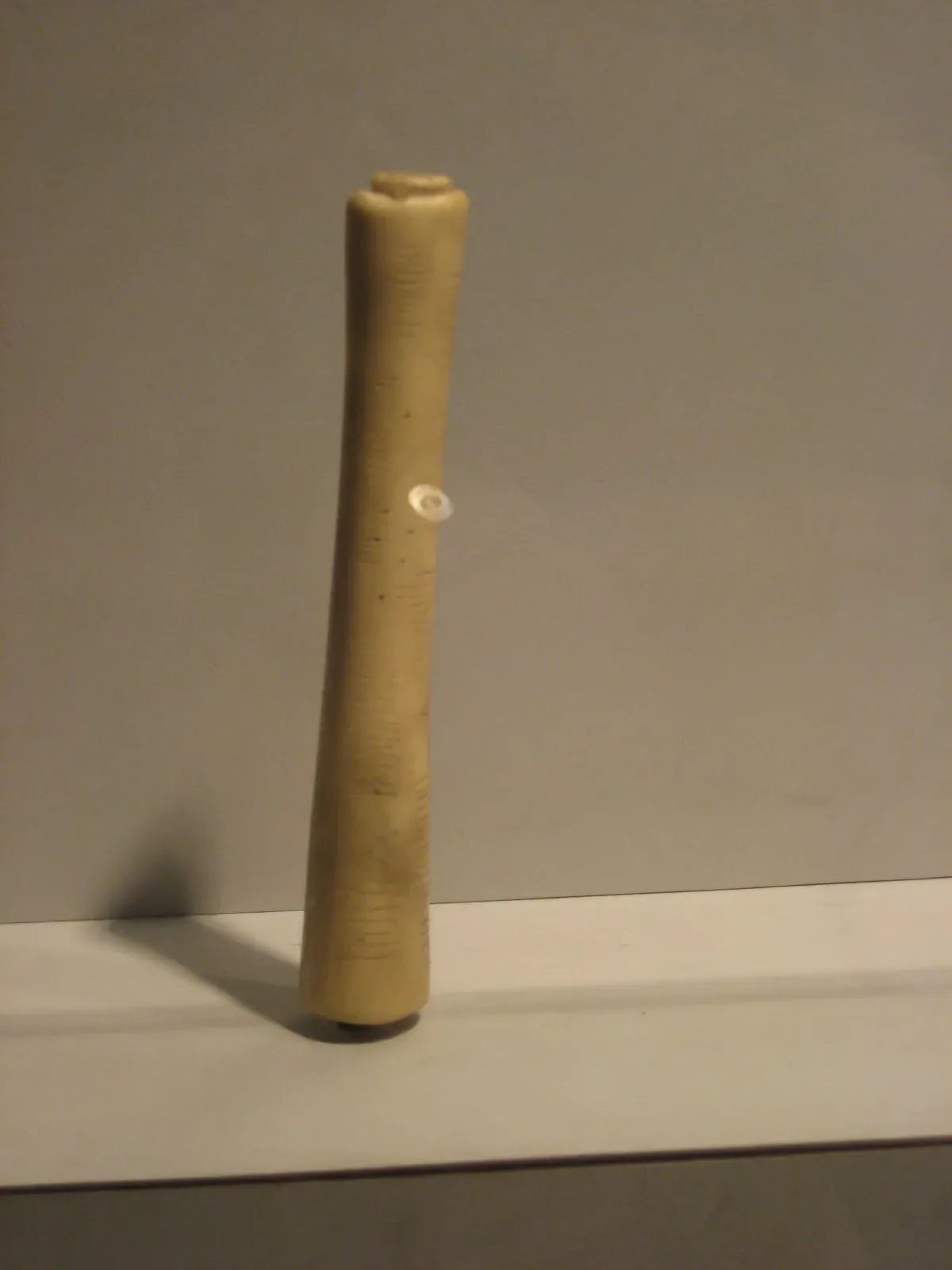 #13 - Notched Bones That Might Be the First Math (originally posted to Flickr as Ishango Bone, CC BY-SA 2.0)