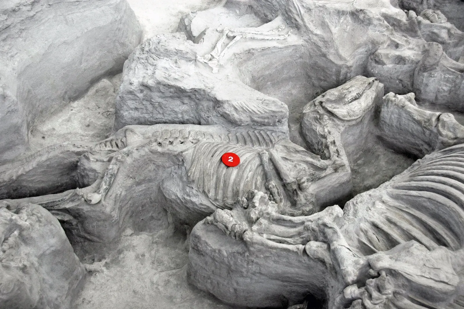 5. The KT Boundary and the Dinosaur-Killing Asteroid: Fossils at the End of the World (By James St. John, CC BY 2.0)