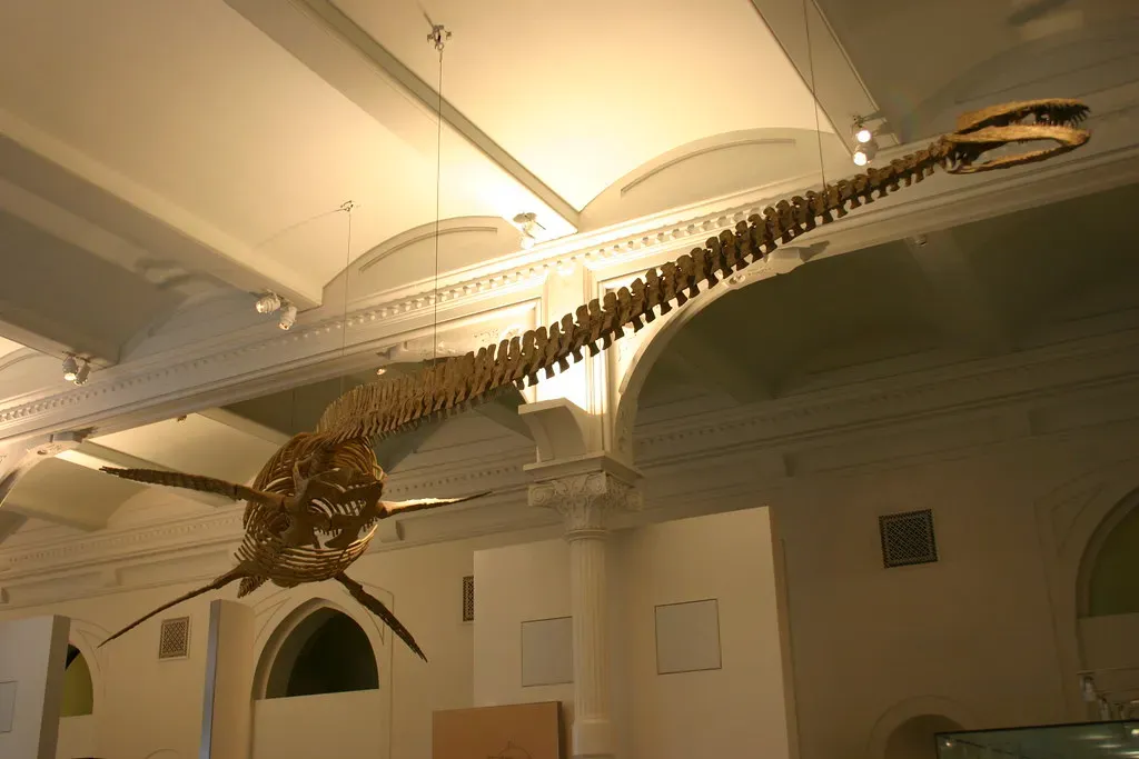 What These Ancient Giants Can Tell Us About the Future Oceans (Ryan Somma, Flickr, CC BY-SA 2.0)