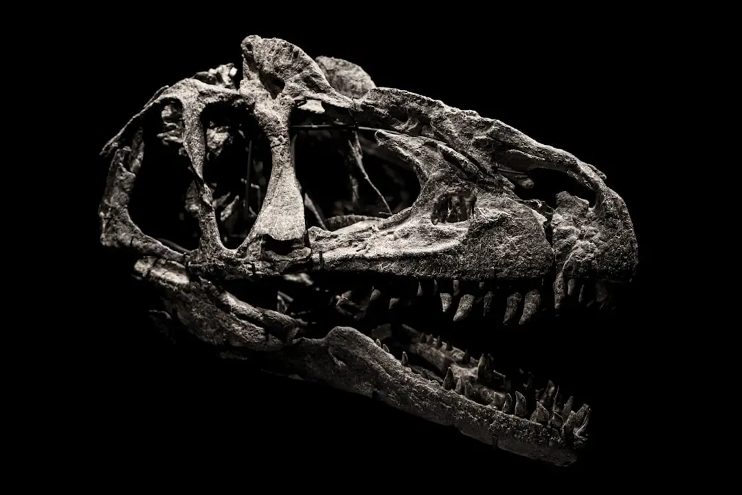 Conclusion (Image Credits: Unsplash)