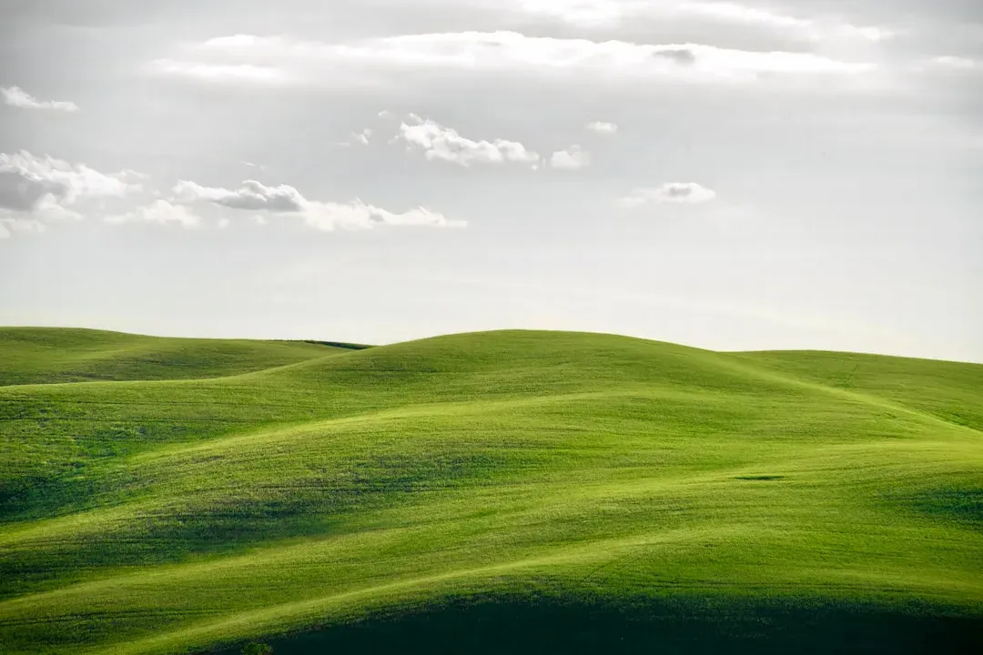 The Sahara’s Green Phase: Lakes, Rivers, and Grasslands (Image Credits: Unsplash)