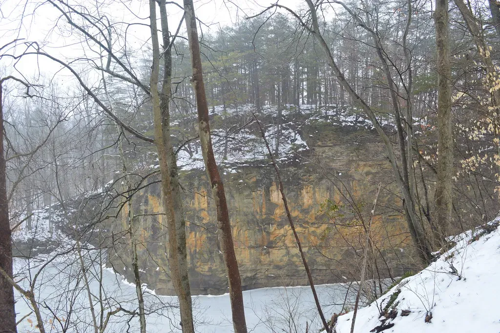 Conclusion: Forests as Shape-Shifters Through Deep Time (Kyle Hartshorn, Flickr, CC BY 2.0)