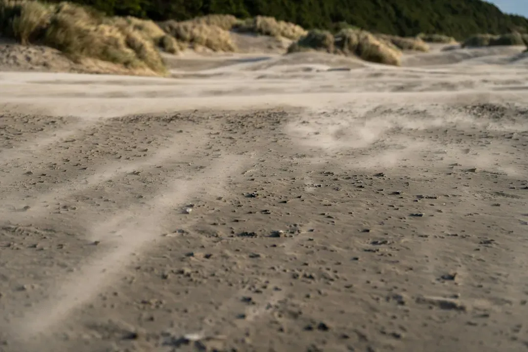 #4: Sand, Soil, and Grit Repainted on Surfaces (Image Credits: Unsplash)