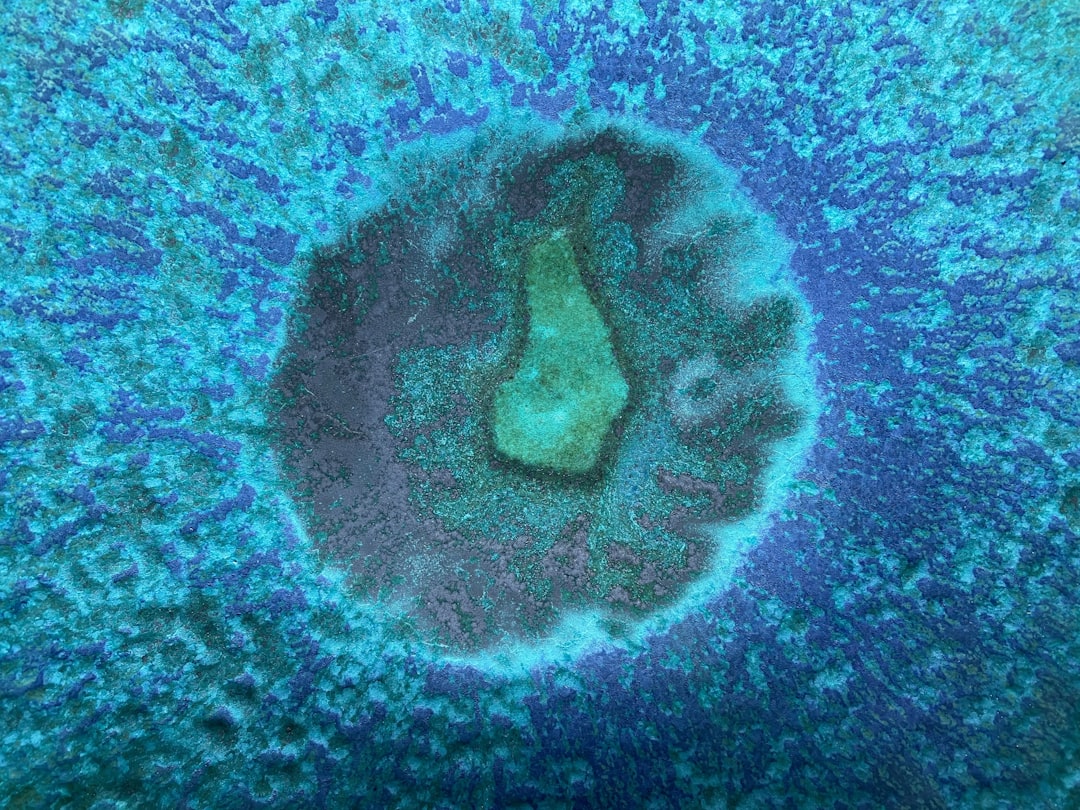 The 2028 Promise Gets Stronger (Image Credits: Unsplash)