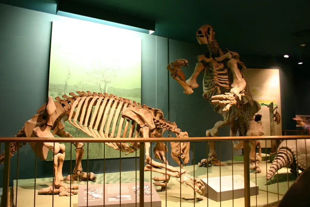 Ground Sloths: The Unexpected Travelers (Image Credits: Flickr)