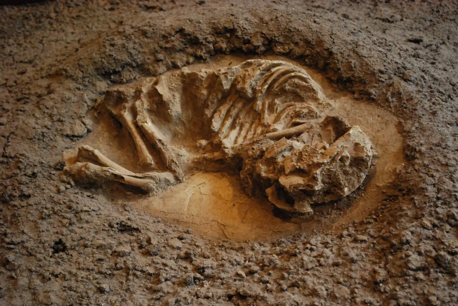 A Tiny Grave That Felt Unmistakably Human (By AlejandroLinaresGarcia, CC BY-SA 4.0)