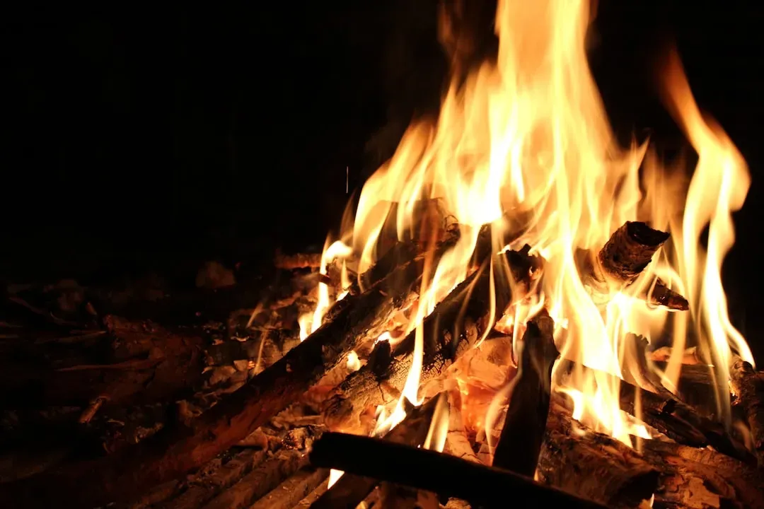 From Chance to Skill: Learning to Make Fire on Purpose (Image Credits: Unsplash)