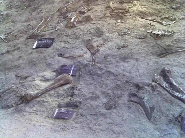 1. Ancient China: The Dragon Bone Healers (By Glennsmart, CC BY-SA 3.0)