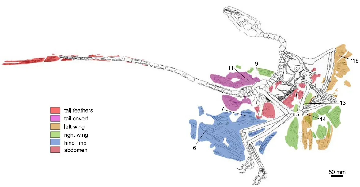 Microscopic Time Capsules Unlock Ancient Secrets (Image Credits: Wikimedia)