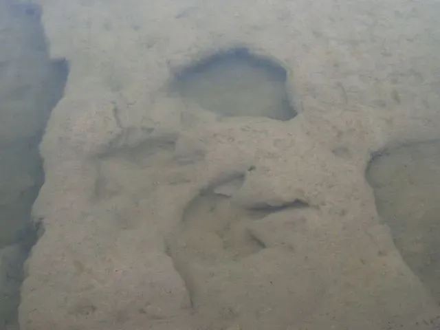 6. Texas - Big State, Bigger Fossils (Dinosaur Tracks, Paluxy River, Texas, CC BY 2.0)