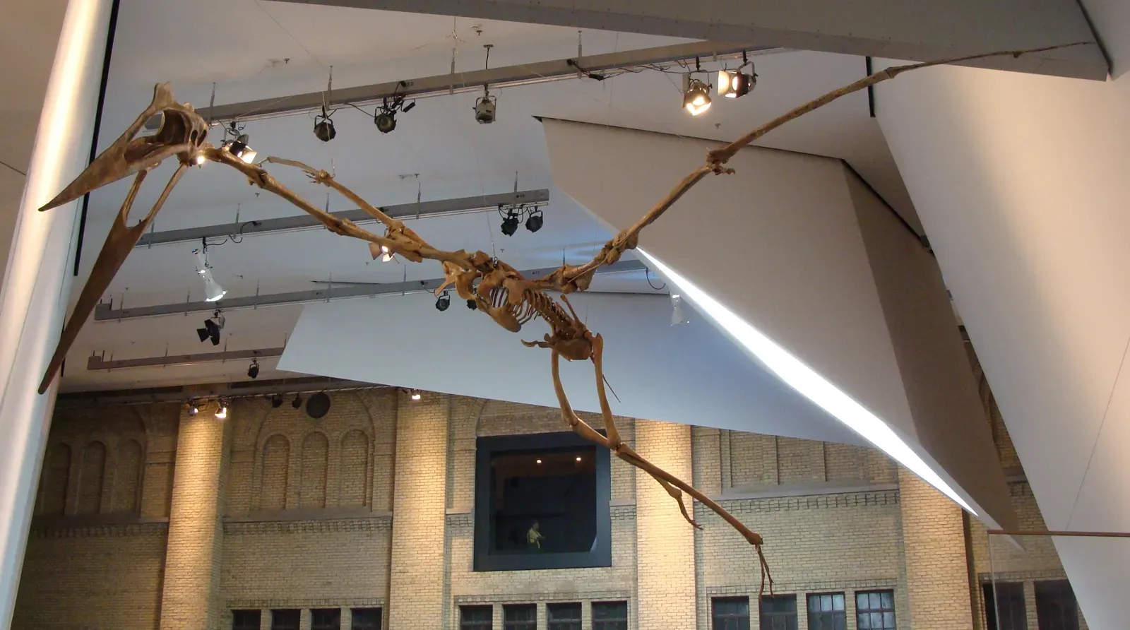 6. You Are Still Watching Scientists Argue About Its Lifestyle (By Eduard Solà, CC BY-SA 3.0)