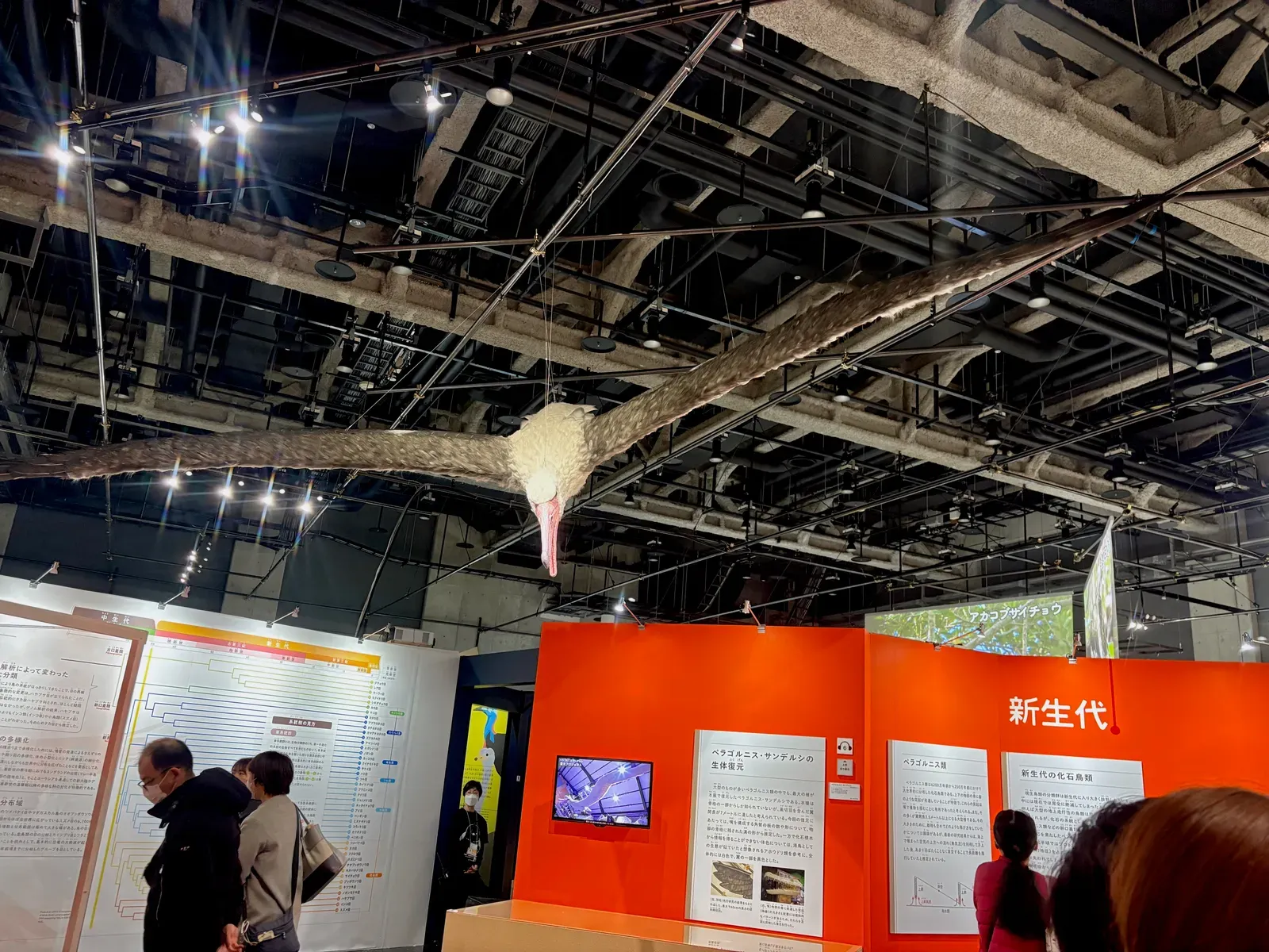 Pelagornis Sandersi: The Record-Breaking Seabird (Image Credits: Wikimedia)