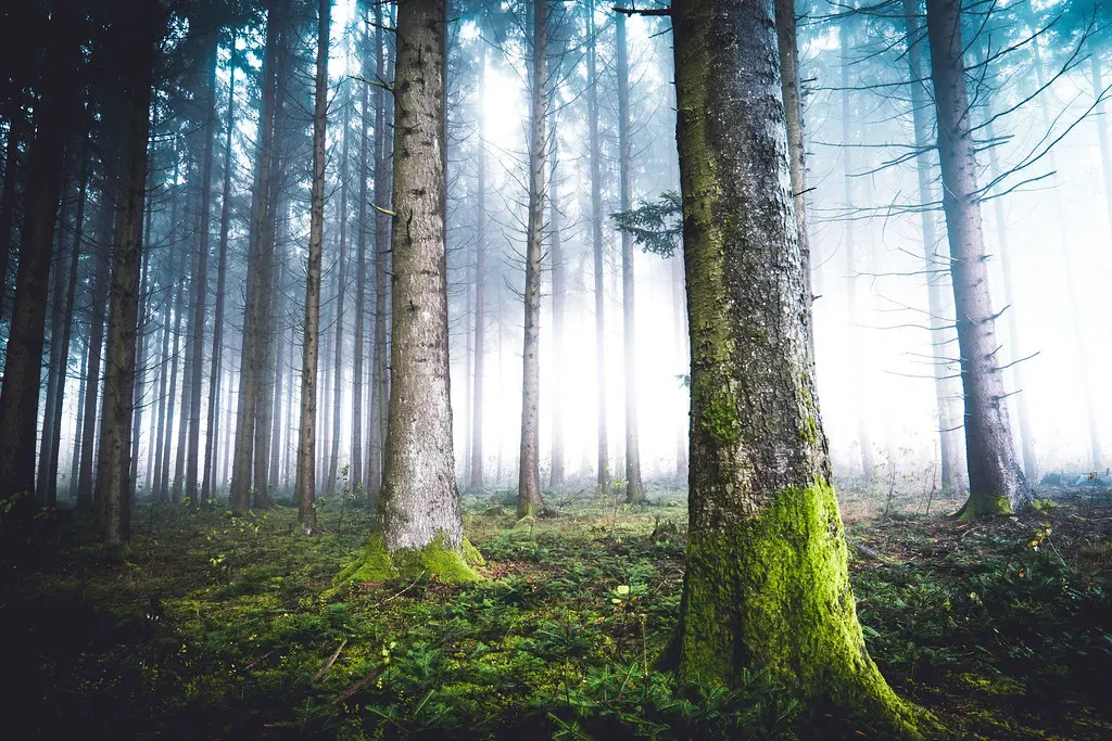 2. Skies and Light That Just Look Wrong (hannes-flo, Flickr, CC BY 2.0)