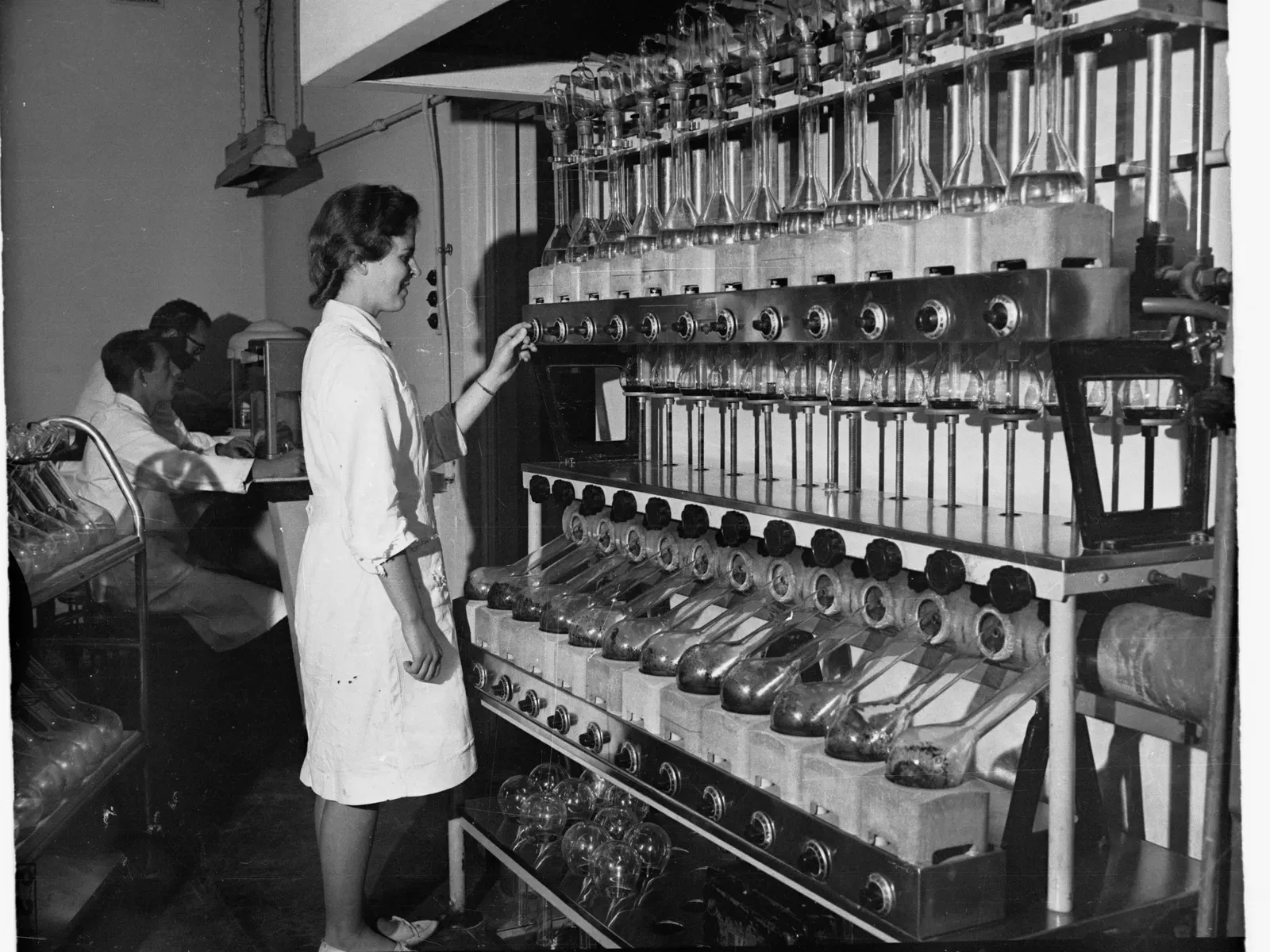 A lost sample turns up in Copenhagen (The History Trust of South Australian,  South Australian Government  Photo [1]  Object record [2], CC0)