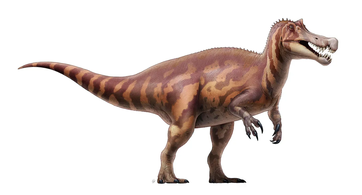 Swimming or Wading? The Debate Over Irritator’s Lifestyle (By Fred Wierum, CC BY 3.0)